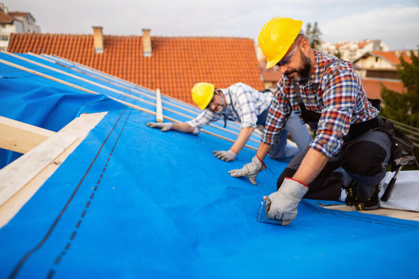 Best Metal Roofing Contractor  in Suquamish, WA
